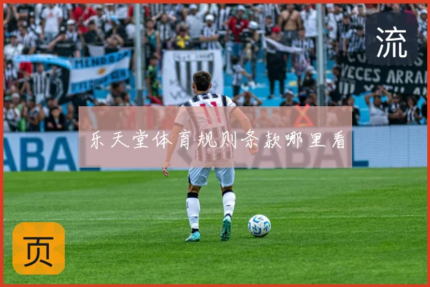 乐天堂体育规则条款哪里看